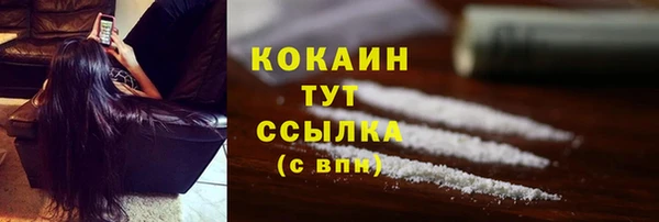 прущий лед Алзамай