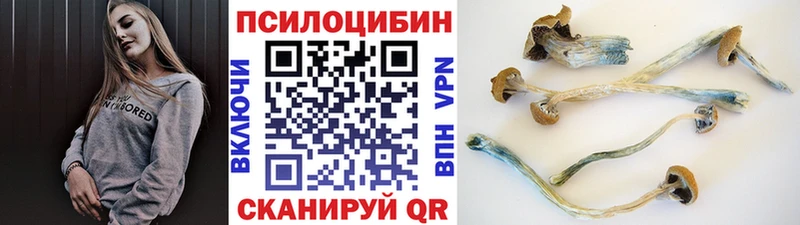 Галлюциногенные грибы мухоморы  Зуевка 