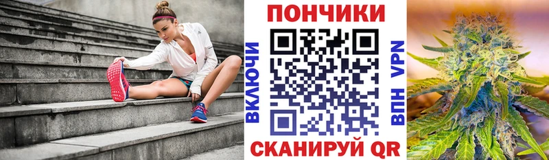 где купить   Зуевка  Шишки марихуана Amnesia 